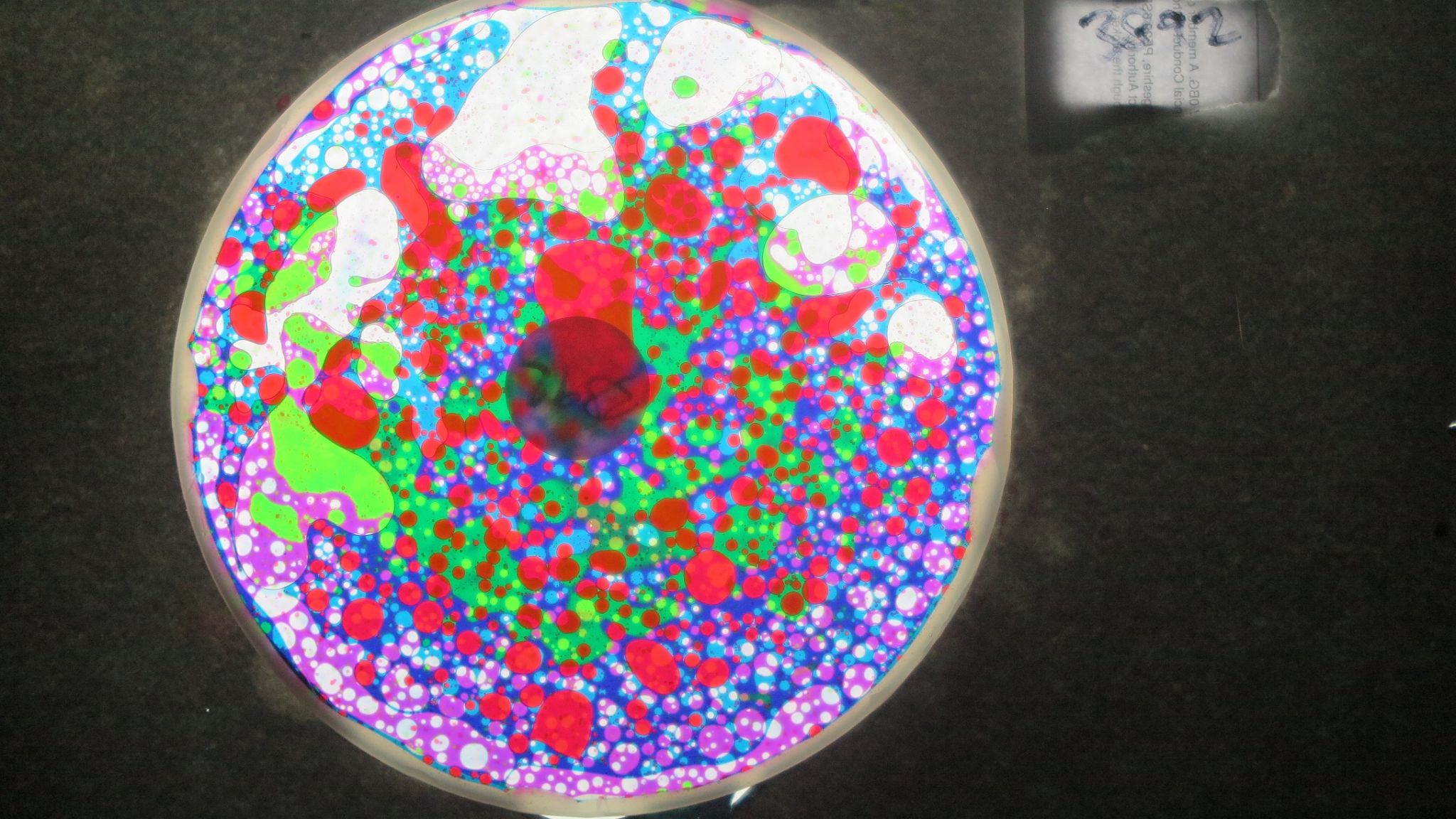 BV3892 bubble vision oil wheel